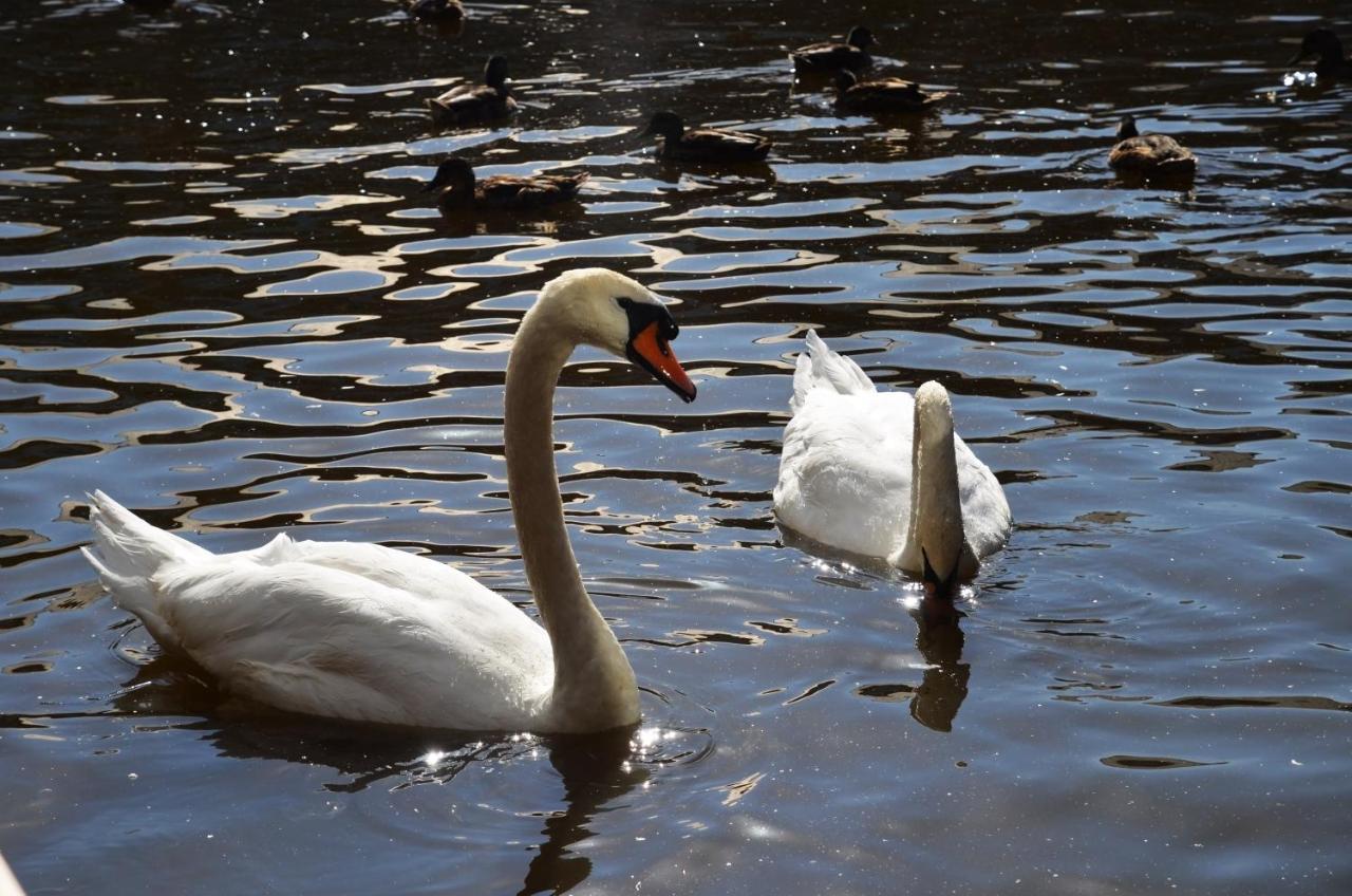 Tewitfield Marina Lejlighed Carnforth Eksteriør billede